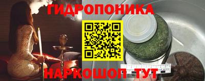 шишки Бузулук
