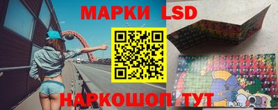 шишки Бузулук