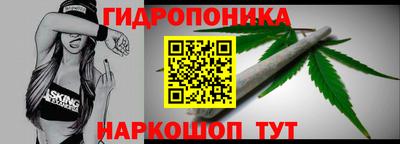 шишки Бузулук