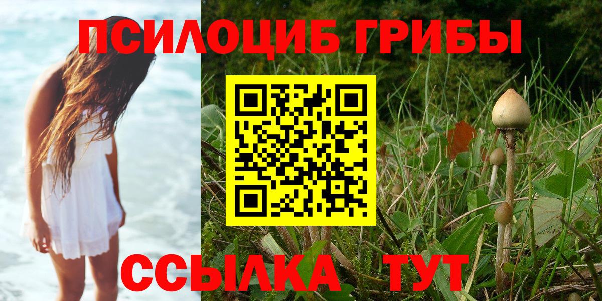 Галлюциногенные грибы ЛСД Черкесск