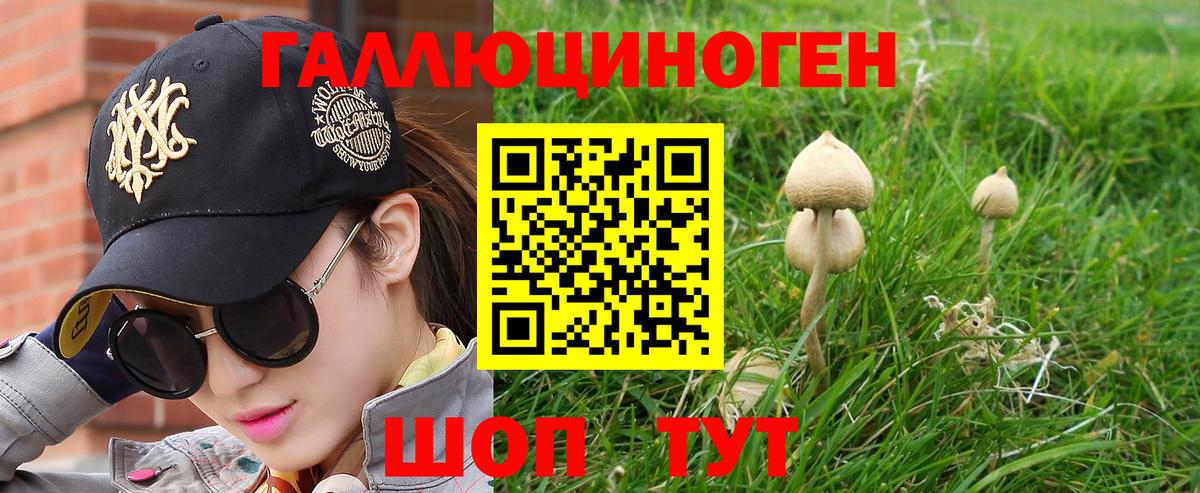 Галлюциногенные грибы Psilocybe  Вход с VPN  Галлюциногенные грибы мицелий  Черкесск 