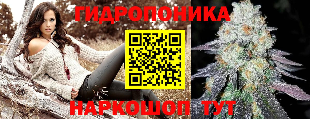 Бошки Шишки индика  Бошки марихуана ГИДРОПОН  Черкесск  Вход с VPN  Шишки марихуана AK-47 
